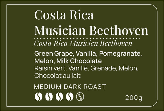 Costa Rica Musician Beethoven