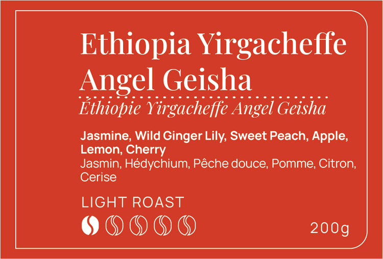 Ethiopia Angel Geisha
