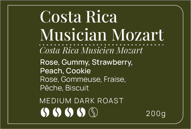 Costa Rica Musician Mozart