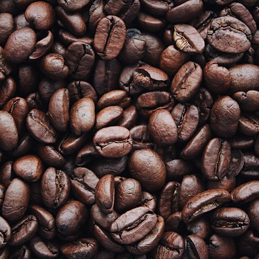 Colombia Quindio Armenia Rose Geisha
